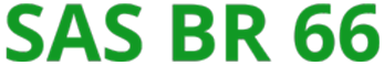 Logo sas br 66